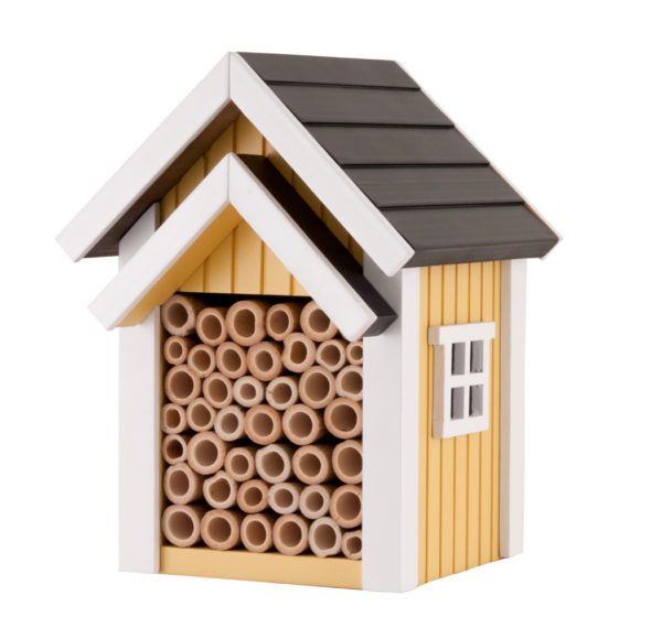 domek dla pszczół