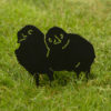 zdjęcia dwóch kurczaczków na trawie